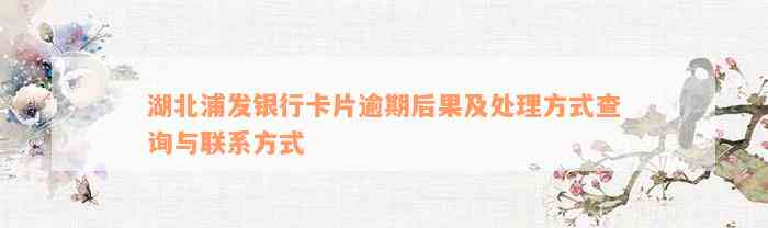 湖北浦发银行卡片逾期后果及处理方式查询与联系方式