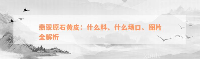 翡翠原石黄皮：什么料、什么场口、图片全解析