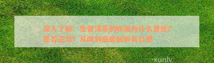 深入了解：生普洱茶的味道为什么奇怪？是否正常？从闻到品尝解析其口感