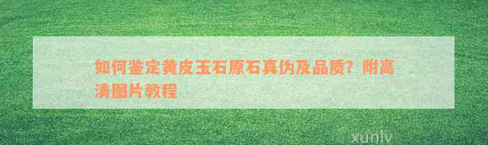 如何鉴定黄皮玉石原石真伪及品质？附高清图片教程