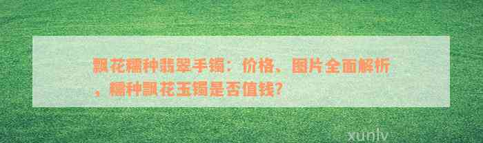 飘花糯种翡翠手镯：价格、图片全面解析，糯种飘花玉镯是否值钱？