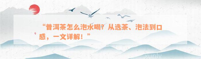 “普洱茶怎么泡水喝？从选茶、泡法到口感，一文详解！”