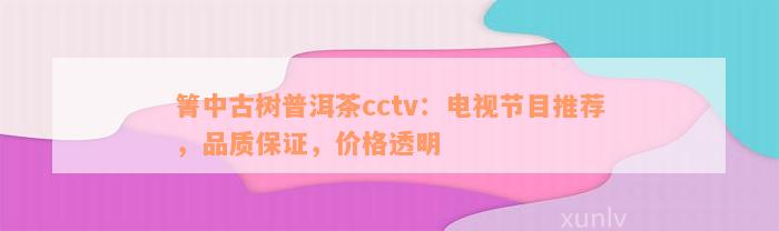 箐中古树普洱茶cctv：电视节目推荐，品质保证，价格透明