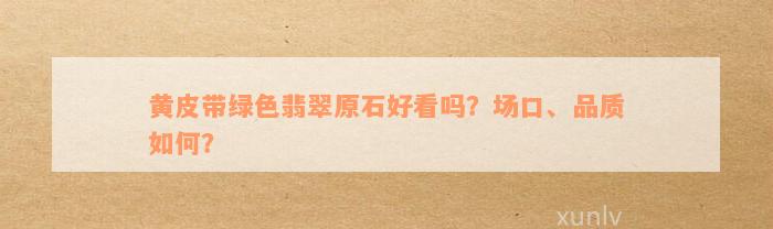 黄皮带绿色翡翠原石好看吗？场口、品质如何？