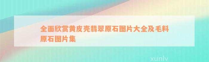 全面欣赏黄皮壳翡翠原石图片大全及毛料原石图片集