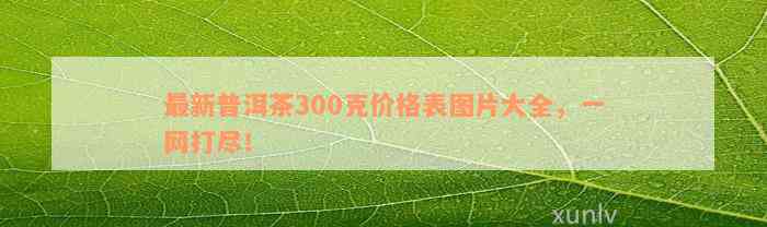 最新普洱茶300克价格表图片大全，一网打尽！