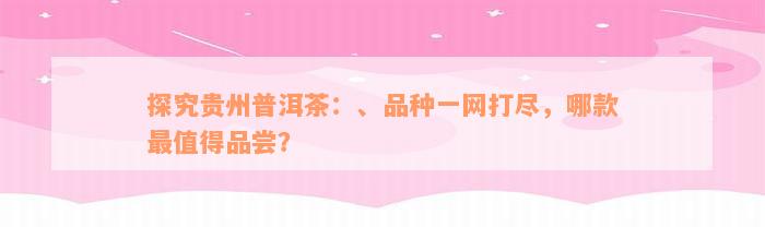 探究贵州普洱茶：、品种一网打尽，哪款最值得品尝？