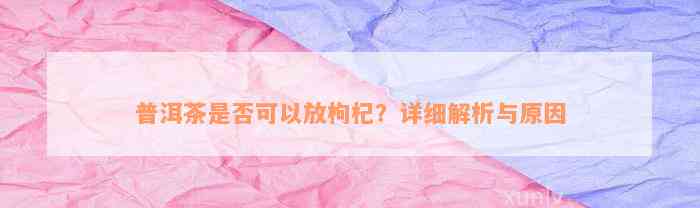 普洱茶是否可以放枸杞？详细解析与原因