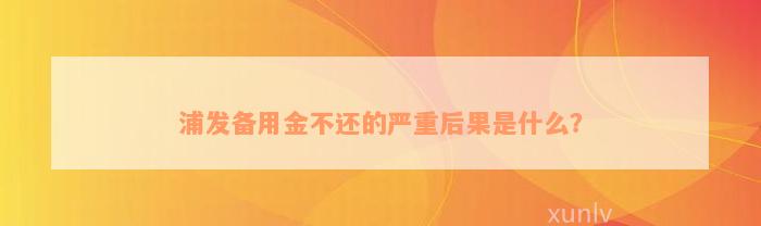 浦发备用金不还的严重后果是什么？