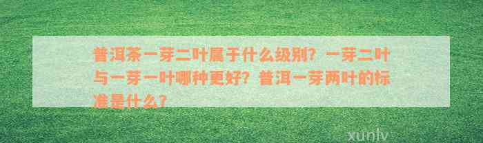 普洱茶一芽二叶属于什么级别？一芽二叶与一芽一叶哪种更好？普洱一芽两叶的标准是什么？