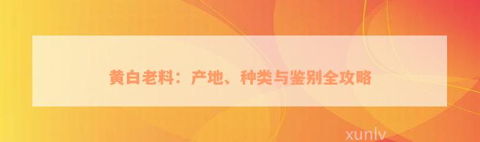 黄白老料：产地、种类与鉴别全攻略