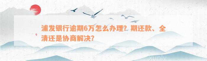 浦发银行逾期6万怎么办理？期还款、全清还是协商解决？