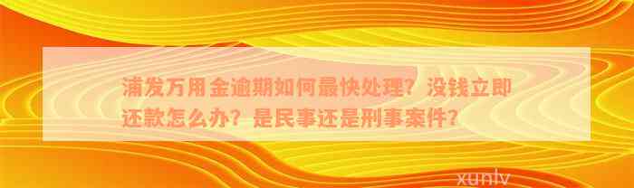 浦发万用金逾期如何最快处理？没钱立即还款怎么办？是民事还是刑事案件？