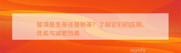 普洱是生茶还是熟茶？了解它们的区别、优劣与减肥效果