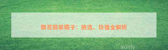 飘花翡翠镯子：挑选、价值全解析