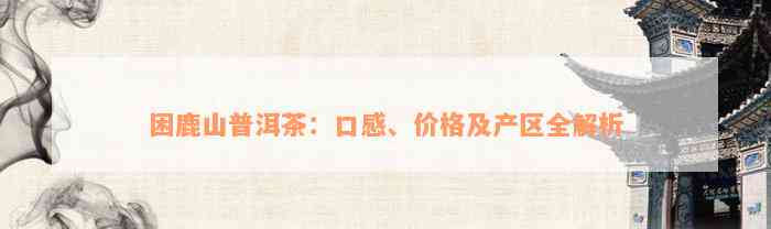 困鹿山普洱茶：口感、价格及产区全解析