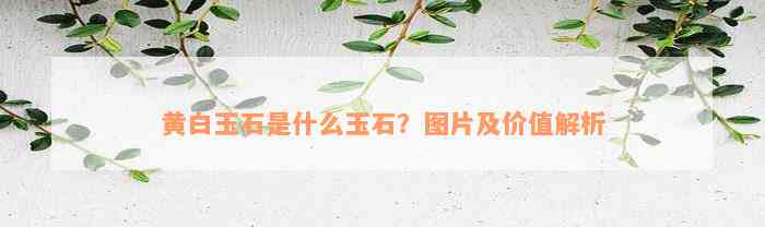 黄白玉石是什么玉石？图片及价值解析