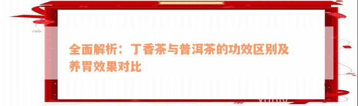 全面解析：丁香茶与普洱茶的功效区别及养胃效果对比