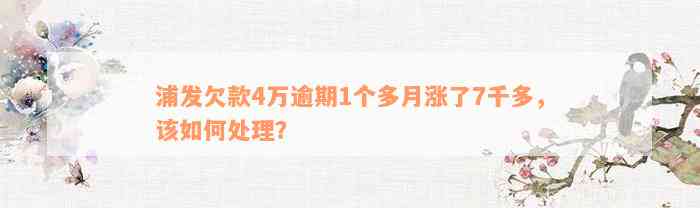 浦发欠款4万逾期1个多月涨了7千多，该如何处理？