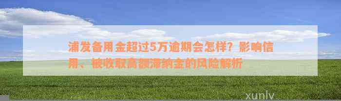 浦发备用金超过5万逾期会怎样？影响信用、被收取高额滞纳金的风险解析