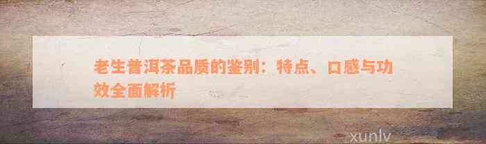 老生普洱茶品质的鉴别：特点、口感与功效全面解析