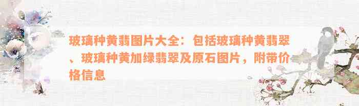 玻璃种黄翡图片大全：包括玻璃种黄翡翠、玻璃种黄加绿翡翠及原石图片，附带价格信息