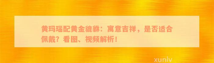 黄玛瑙配黄金貔貅：寓意吉祥，是否适合佩戴？看图、视频解析！