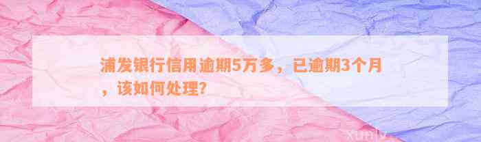 浦发银行信用逾期5万多，已逾期3个月，该如何处理？