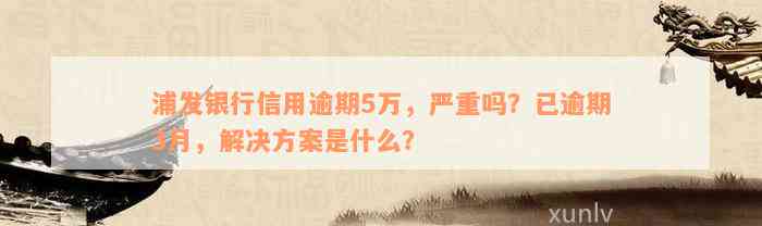 浦发银行信用逾期5万，严重吗？已逾期3月，解决方案是什么？