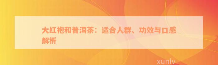 大红袍和普洱茶：适合人群、功效与口感解析