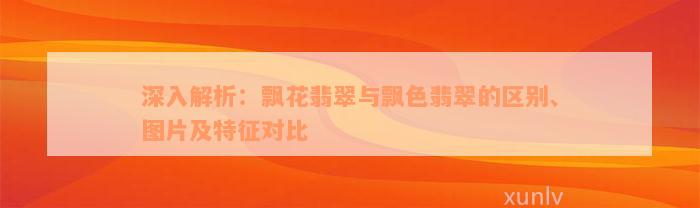 深入解析：飘花翡翠与飘色翡翠的区别、图片及特征对比