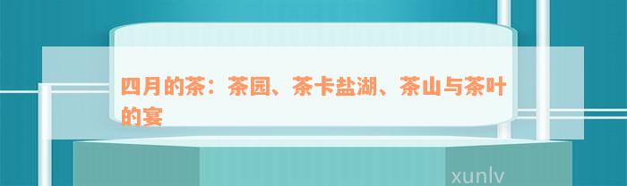 四月的茶：茶园、茶卡盐湖、茶山与茶叶的宴