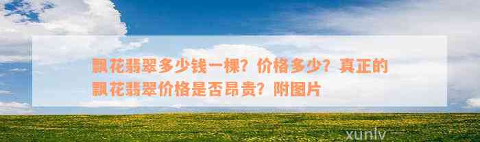 飘花翡翠多少钱一棵？价格多少？真正的飘花翡翠价格是否昂贵？附图片