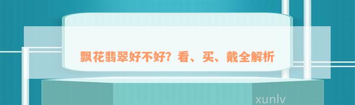 飘花翡翠好不好？看、买、戴全解析