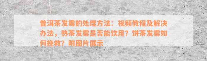 普洱茶发霉的处理方法：视频教程及解决办法，熟茶发霉是否能饮用？饼茶发霉如何挽救？附图片展示