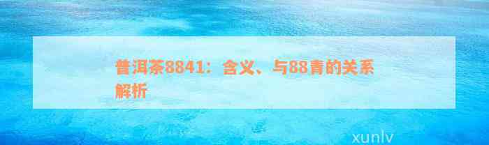 普洱茶8841：含义、与88青的关系解析