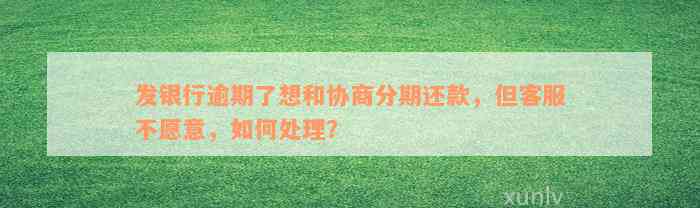 发银行逾期了想和协商分期还款，但客服不愿意，如何处理？