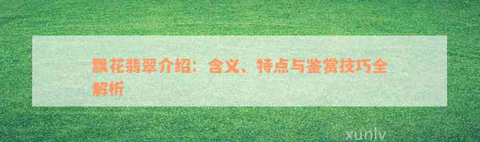 飘花翡翠介绍：含义、特点与鉴赏技巧全解析