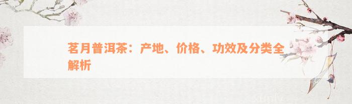 茗月普洱茶：产地、价格、功效及分类全解析