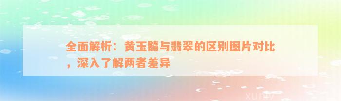 全面解析：黄玉髓与翡翠的区别图片对比，深入了解两者差异