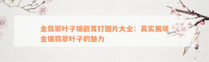 金翡翠叶子镶嵌耳钉图片大全：真实展现金镶翡翠叶子的魅力