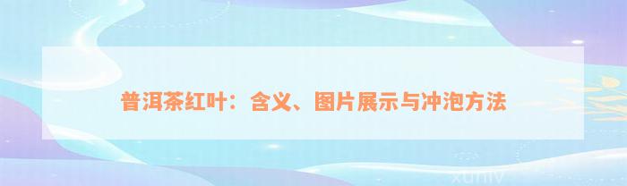 普洱茶红叶：含义、图片展示与冲泡方法