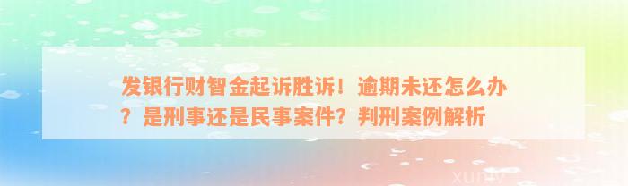 发银行财智金起诉胜诉！逾期未还怎么办？是刑事还是民事案件？判刑案例解析