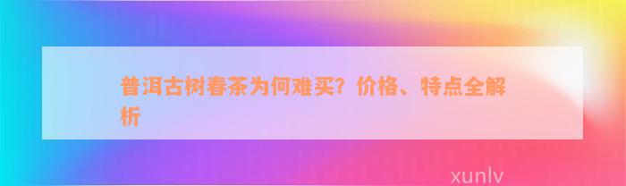 普洱古树春茶为何难买？价格、特点全解析