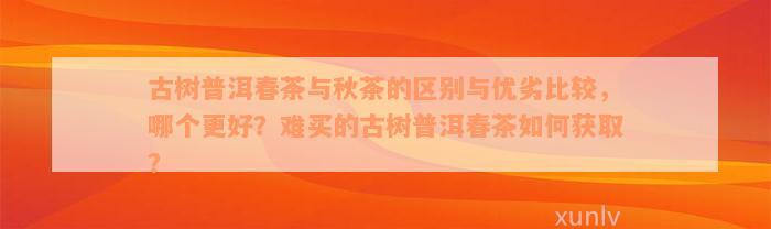 古树普洱春茶与秋茶的区别与优劣比较，哪个更好？难买的古树普洱春茶如何获取？