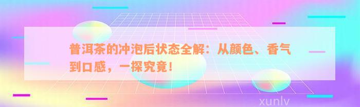 普洱茶的冲泡后状态全解：从颜色、香气到口感，一探究竟！