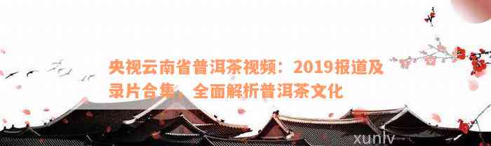 央视云南省普洱茶视频：2019报道及录片合集，全面解析普洱茶文化