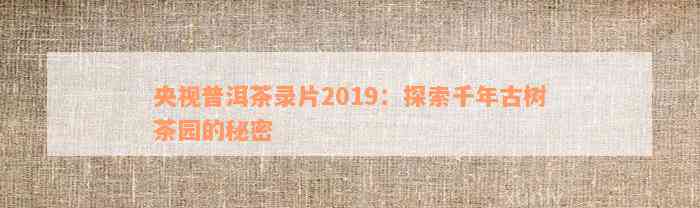 央视普洱茶录片2019：探索千年古树茶园的秘密