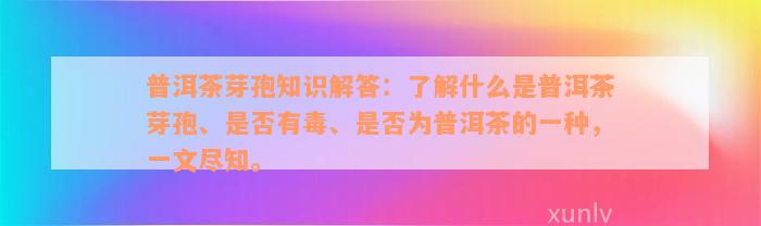 普洱茶芽孢知识解答：了解什么是普洱茶芽孢、是否有毒、是否为普洱茶的一种，一文尽知。