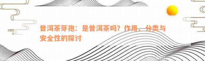 普洱茶芽孢：是普洱茶吗？作用、分类与安全性的探讨